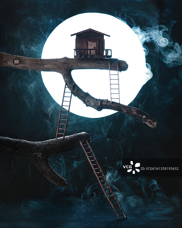 树枝上月光下的林间小屋图片素材