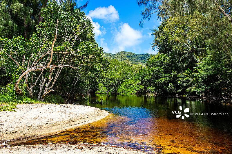 塞舌尔马埃岛塔卡马卡海滩后的咸水图片素材