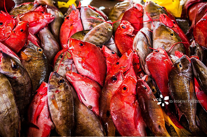 维多利亚集市的鱼类销售，马埃岛，塞舌尔图片素材