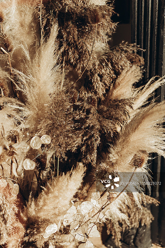 米色圆形干花图片素材