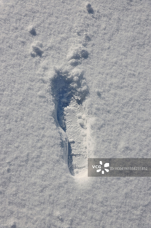 冬季雪地足迹图片素材