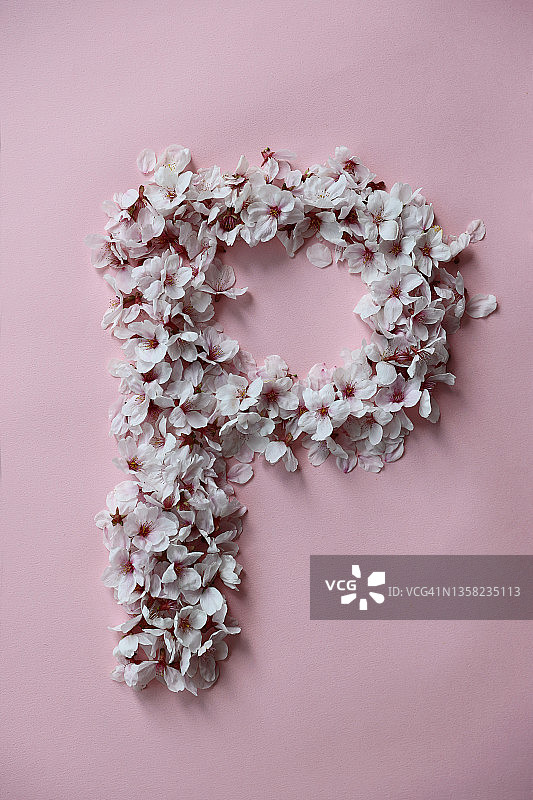 影棚樱花字母P背景图图片素材