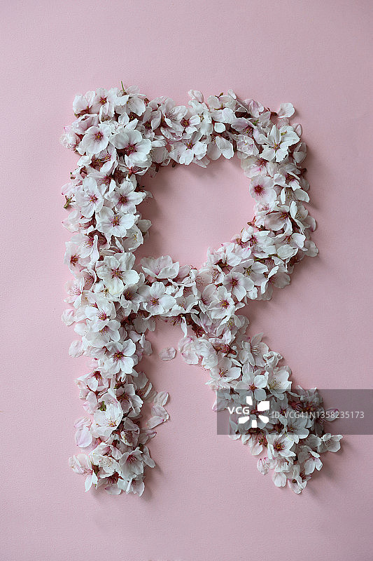 工作室，樱花，字母R背景图图片素材