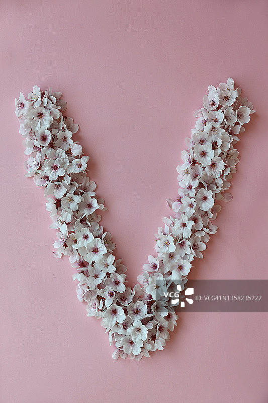 摄影棚：樱花，字母V，背景图图片素材