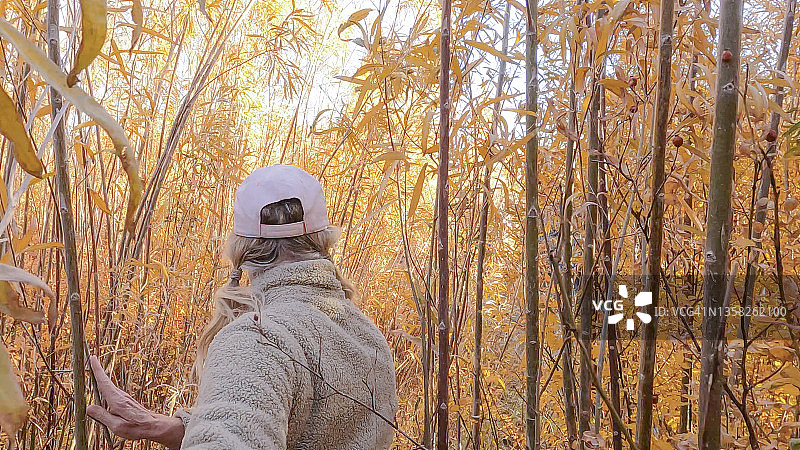 女子穿过茂密的秋叶图片素材