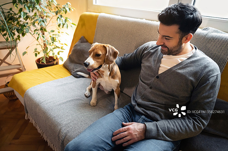 白人男子拥抱可爱的比格犬图片素材