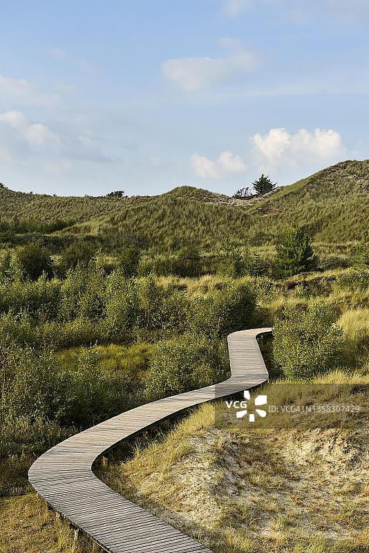 德国阿姆鲁姆岛维特迪恩附近沙丘中的木板路图片素材
