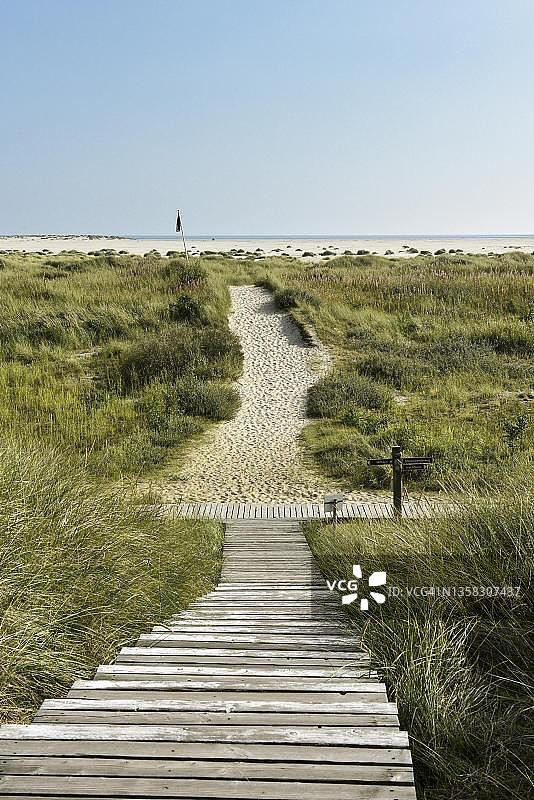 德国阿姆鲁姆岛维特迪恩附近沙丘中的木板路图片素材