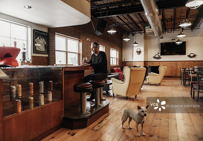 小酒吧老板和他的小狗一起工作图片素材