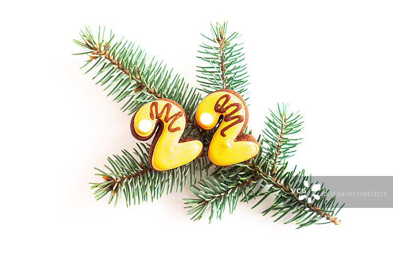 圣诞树枝与虎纹22号姜饼，新年象征图片素材