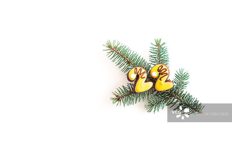 圣诞树枝与虎纹22号姜饼，新年象征图片素材