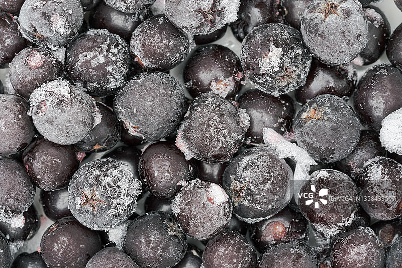 冷冻野樱莓：健康美味的成人儿童甜点图片素材