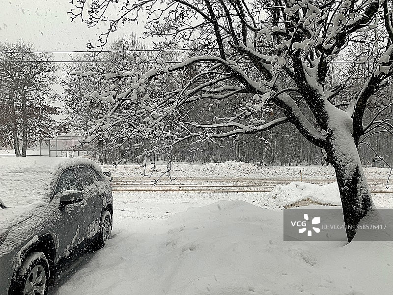 加拿大雪地里被大雪覆盖的树和汽车图片素材