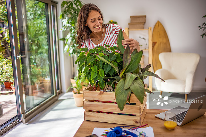 在新公寓里种植一些植物图片素材