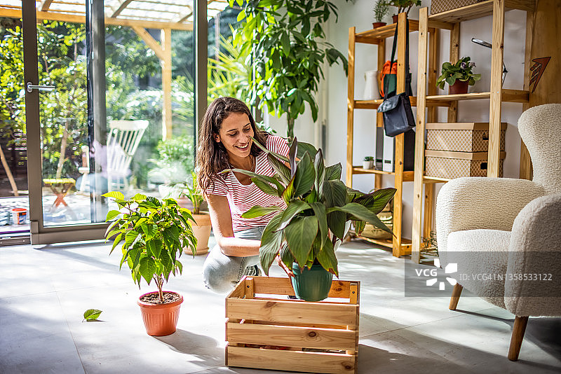 在新公寓里种植一些植物图片素材