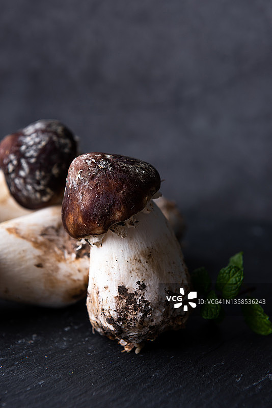 新鲜松茸图片素材