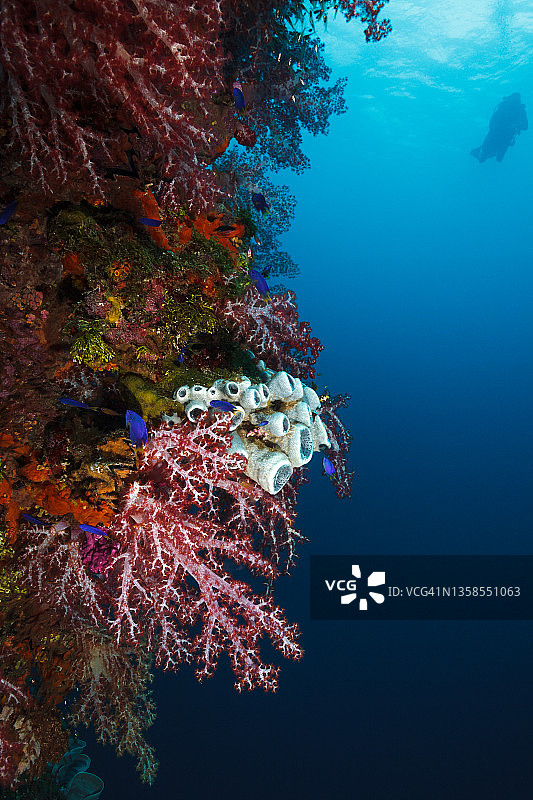 像在霍基丸号沉船的墙壁潜水一样图片素材