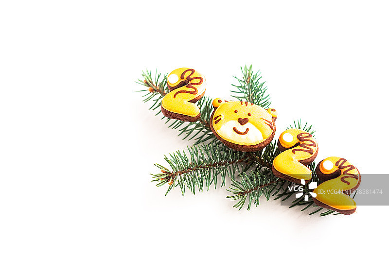 圣诞树枝与虎纹22号姜饼，新年象征图片素材