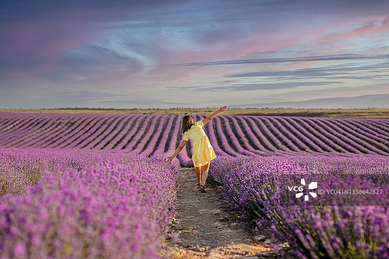 身穿黄色连衣裙的年轻女孩在薰衣草田中漫步图片素材