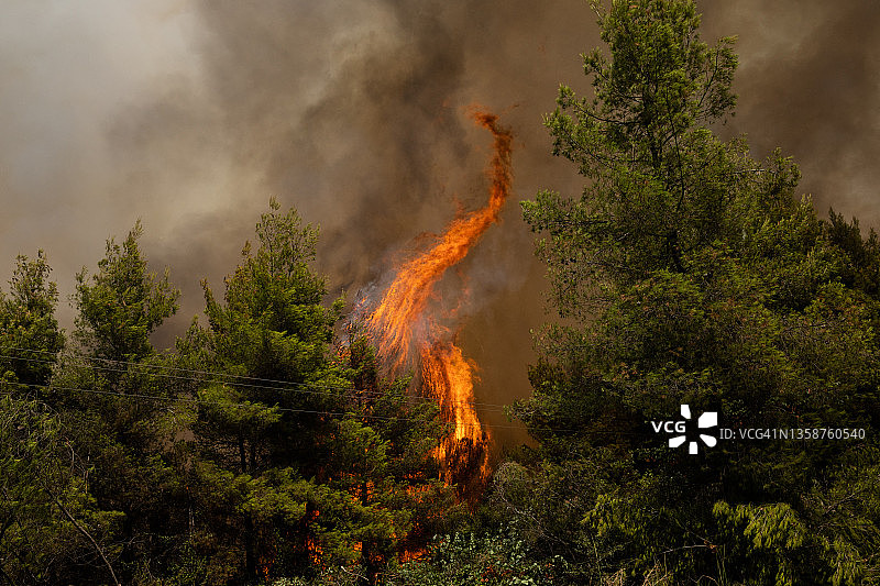 燃烧的森林图片素材