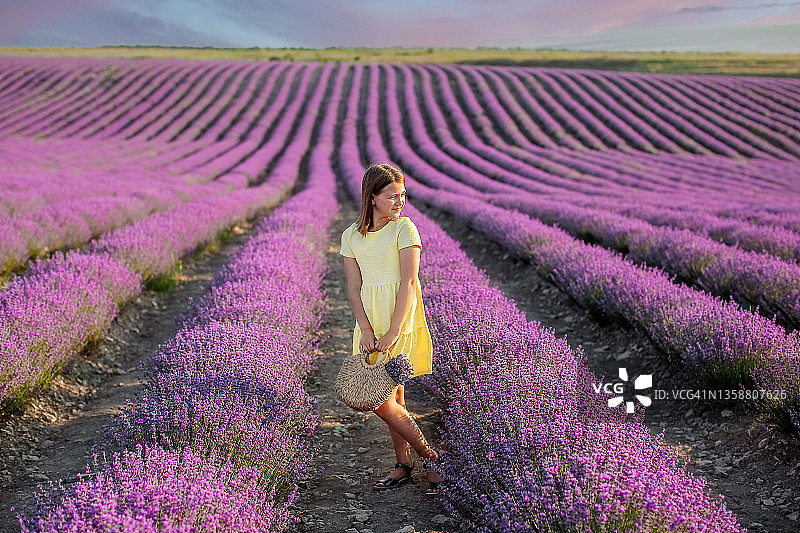 身穿黄裙的年轻女孩站在薰衣草田中图片素材