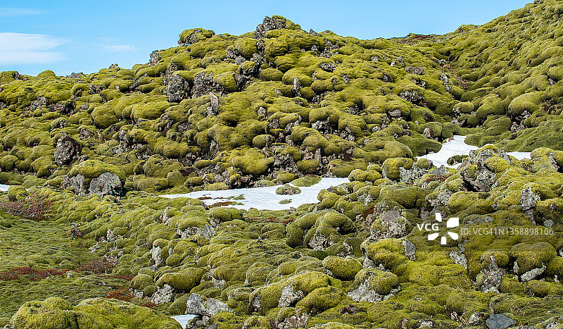 冰岛高地南部Eldhraun熔岩苔藓地的壮丽景色图片素材