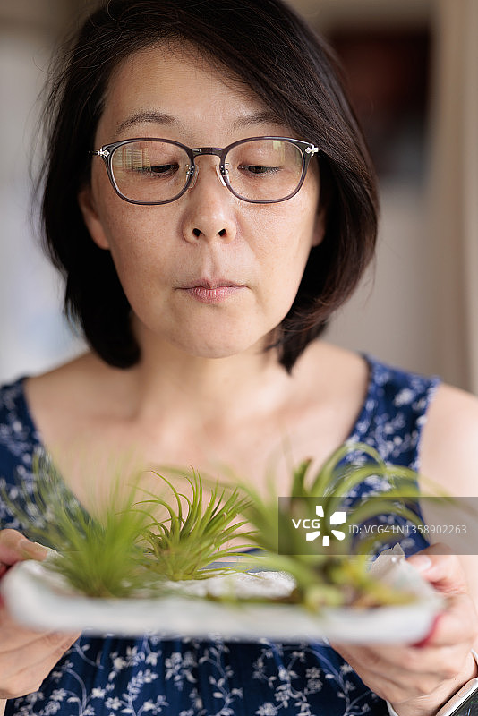 端着植物托盘的女人图片素材