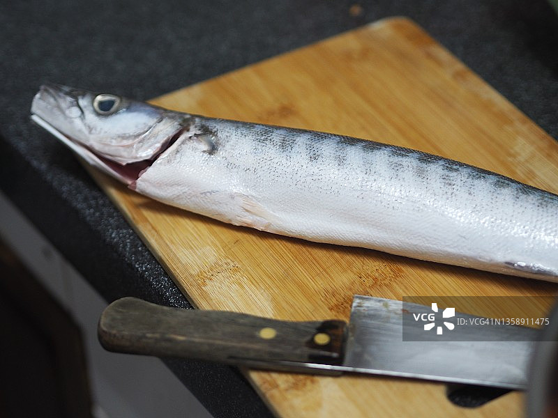钝头鲬鱼和刀在木制案板上，烹饪食物图片素材