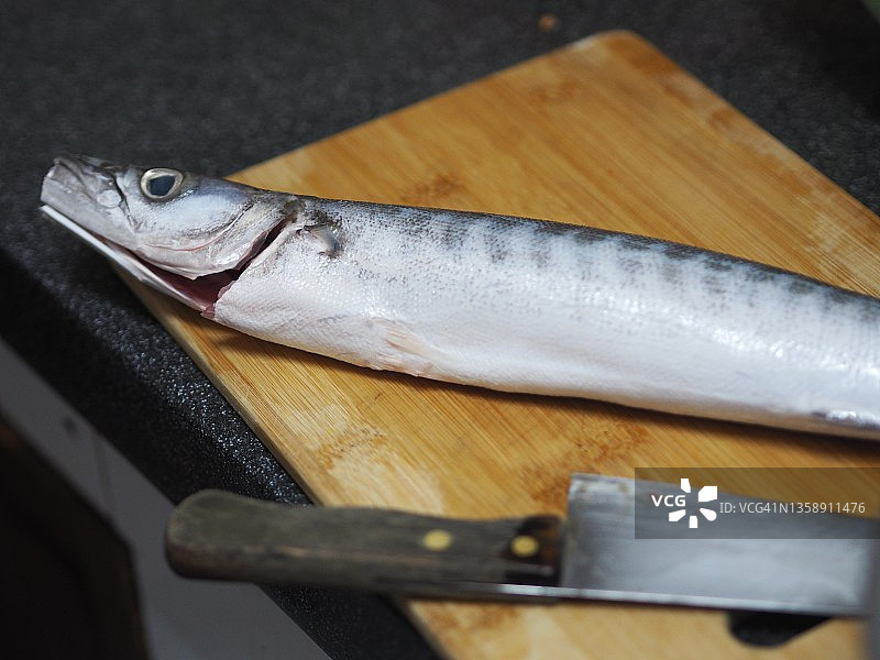 钝头鲬鱼和刀在木制案板上，烹饪食物图片素材