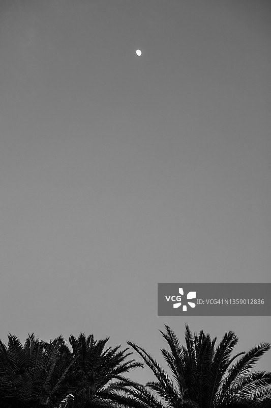 黑白艺术月亮图像图片素材