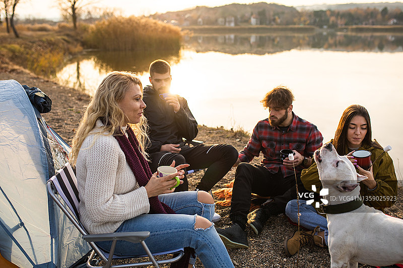 朋友们带着狗去露营图片素材