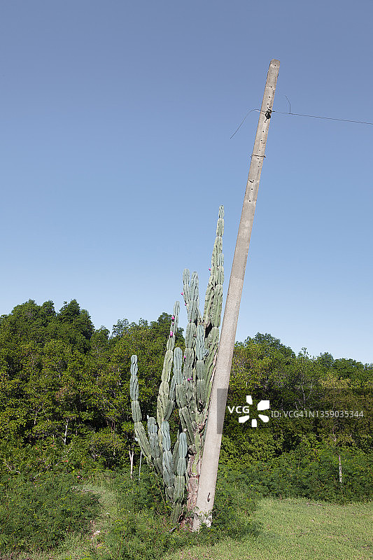 电线杆图片素材