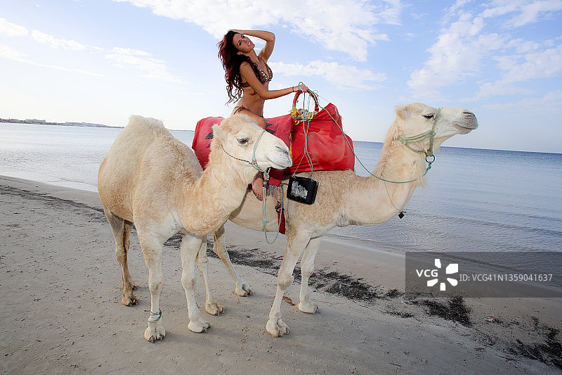 骑骆驼的女人图片素材