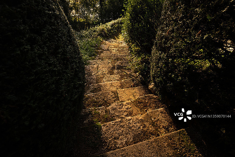 带有苔藓和地衣的弯曲石阶图片素材