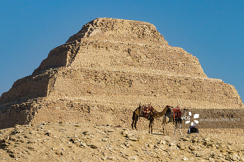 埃及塞加拉左塞尔金字塔旁的骆驼图片素材