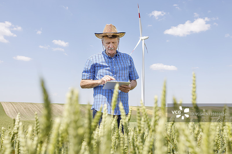农民站在麦田里使用平板电脑图片素材