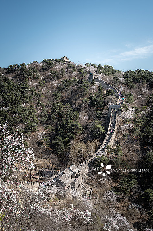 早春群山中盛开的大长城图片素材
