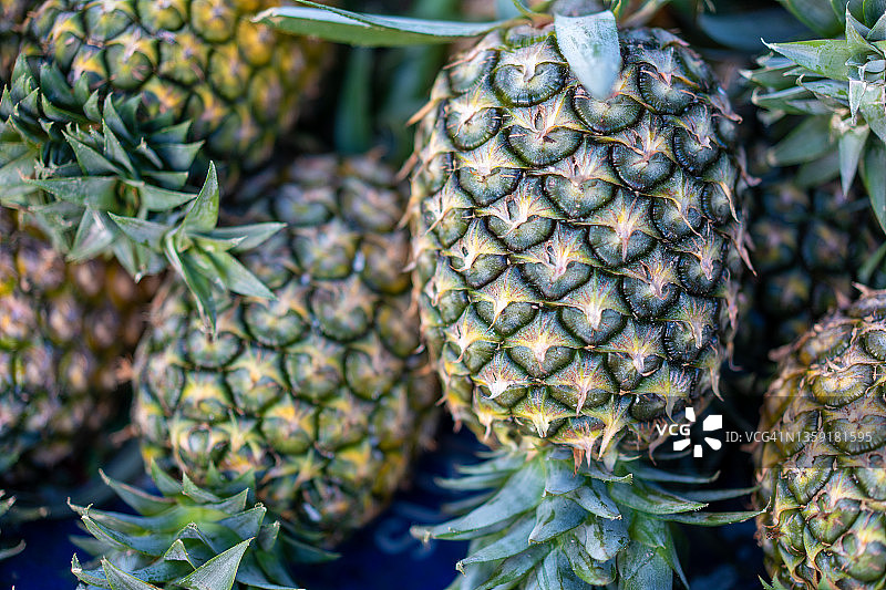 热带成熟菠萝水果，选择性聚焦图片素材