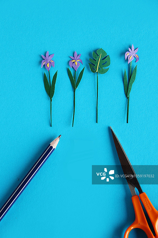自制纸鸢尾花图片素材