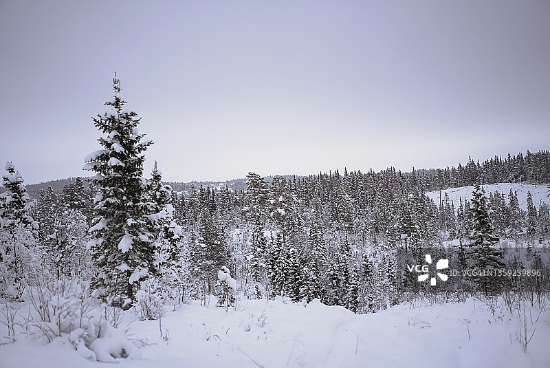 雪与自然之美图片素材