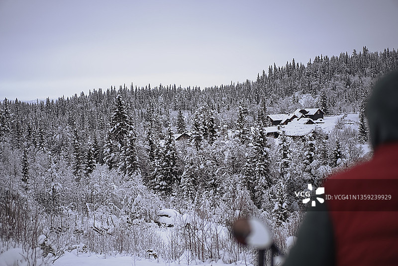 雪与自然之美图片素材