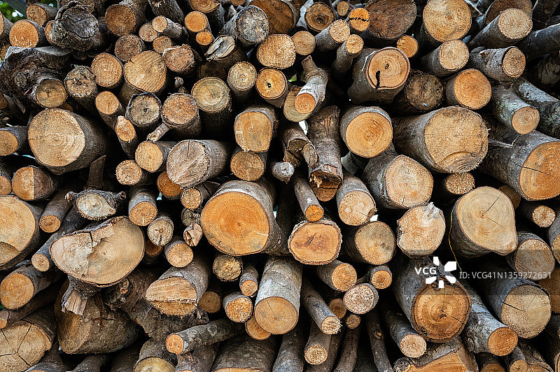 冬季备用木柴堆图片素材