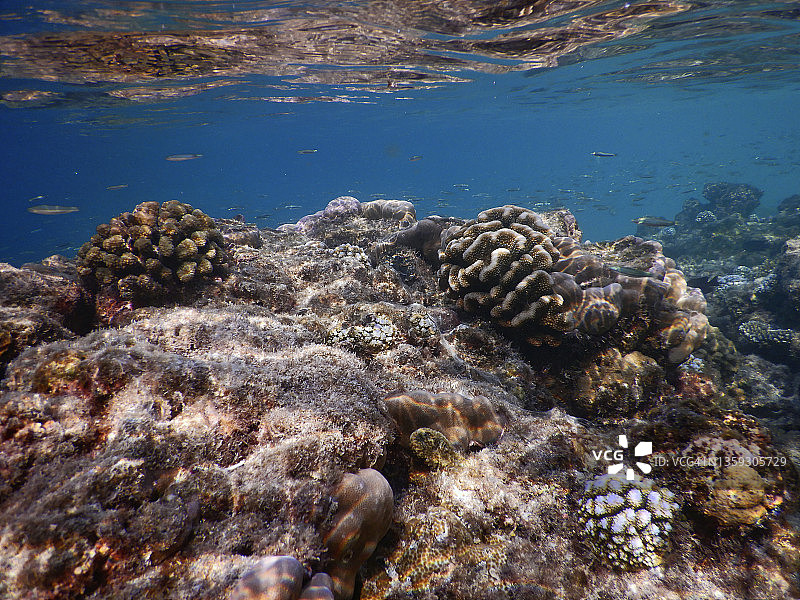 马尔代夫泻湖落潮图片素材
