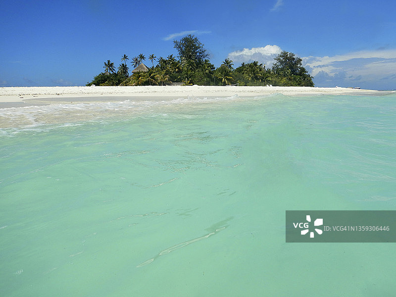 马尔代夫兰纳利岛的白色沙滩和热带树木图片素材
