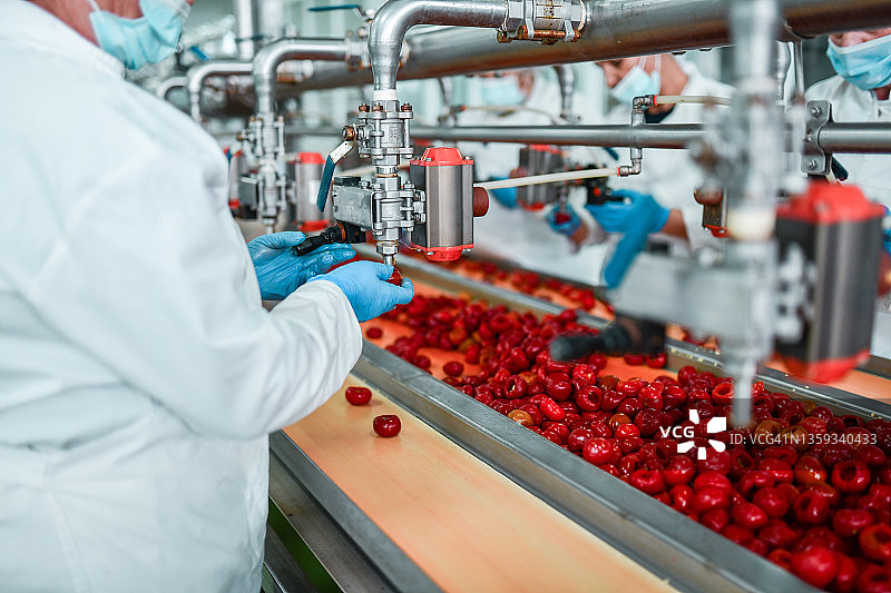 工人在奇亚籽布丁工厂去除樱桃核图片素材