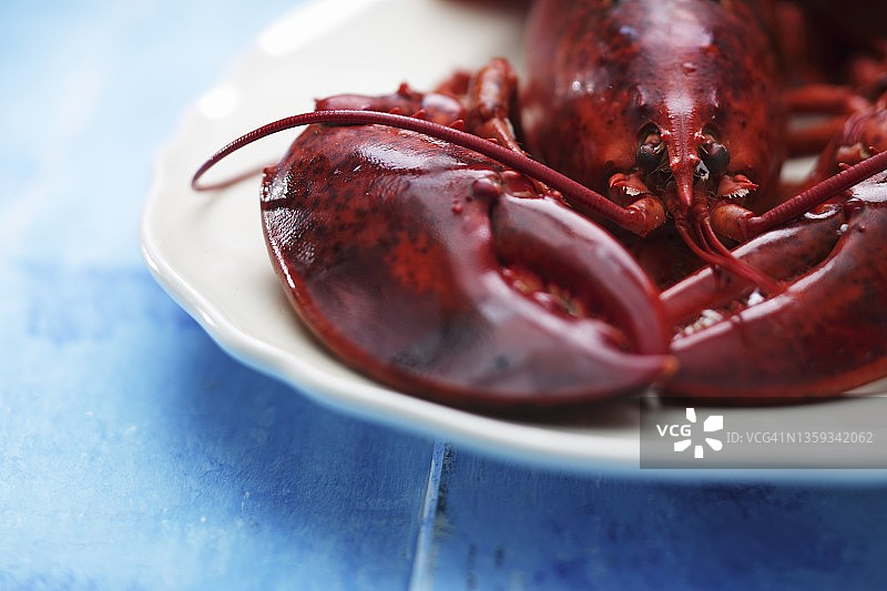 清蒸龙虾（特写）图片素材