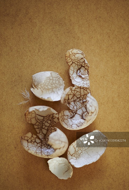 茶叶染色的蛋壳图片素材