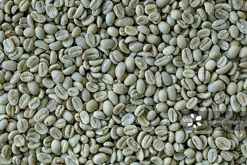 绿咖啡豆（全画幅）图片素材