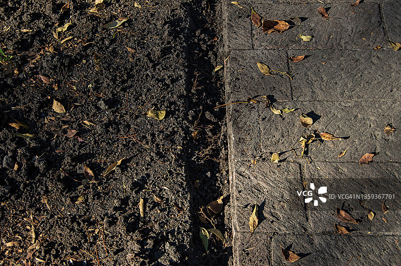 秋季花园畦床整理图片素材