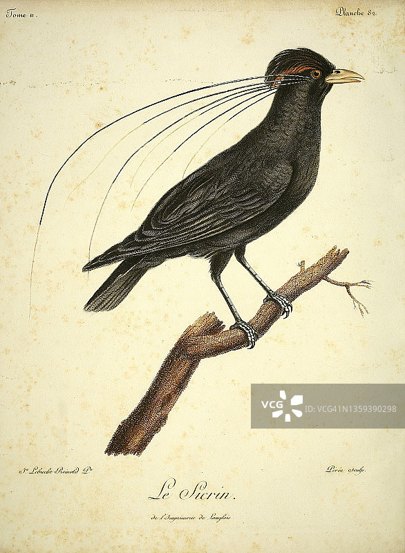 18世纪锡克林插图图片素材